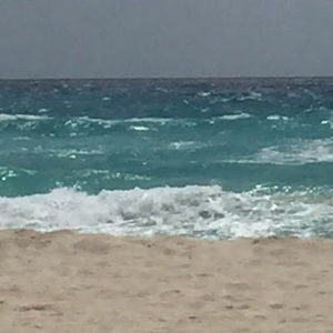 Meet your Posher, Janet